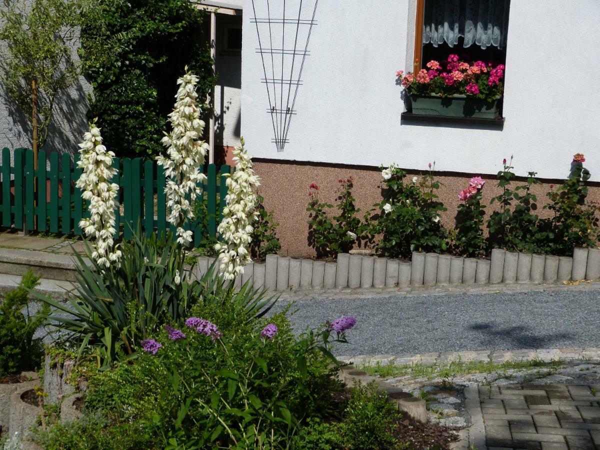 Pension Johannistal Зебніц Екстер'єр фото